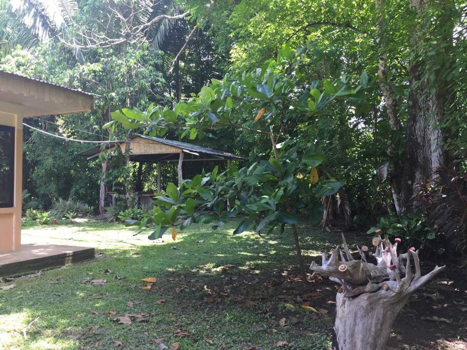 Casa A 26 Kilometros De Jaco Rodeado De Naturaleza Villa Ngoại thất bức ảnh