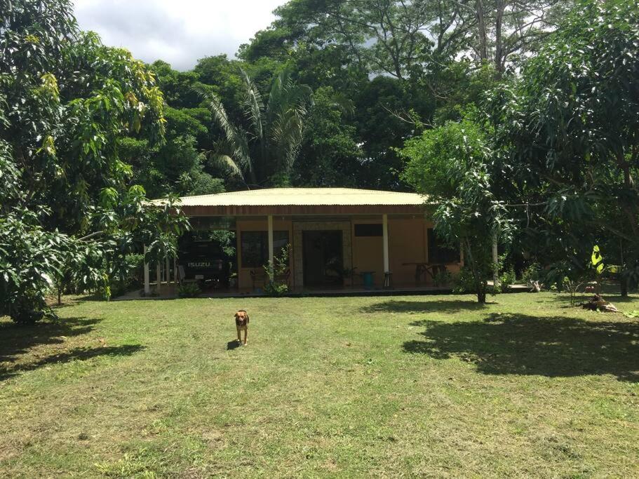 Casa A 26 Kilometros De Jaco Rodeado De Naturaleza Villa Ngoại thất bức ảnh